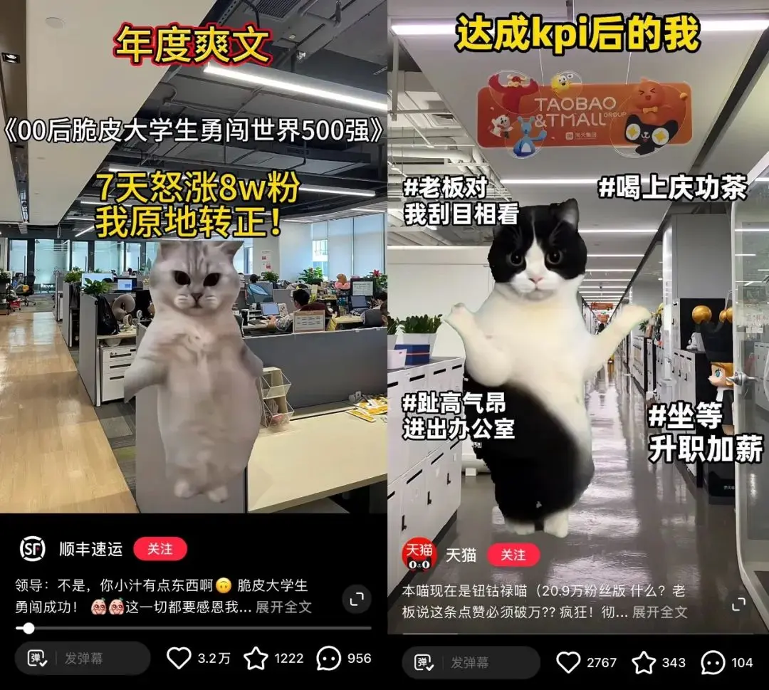 要点营销