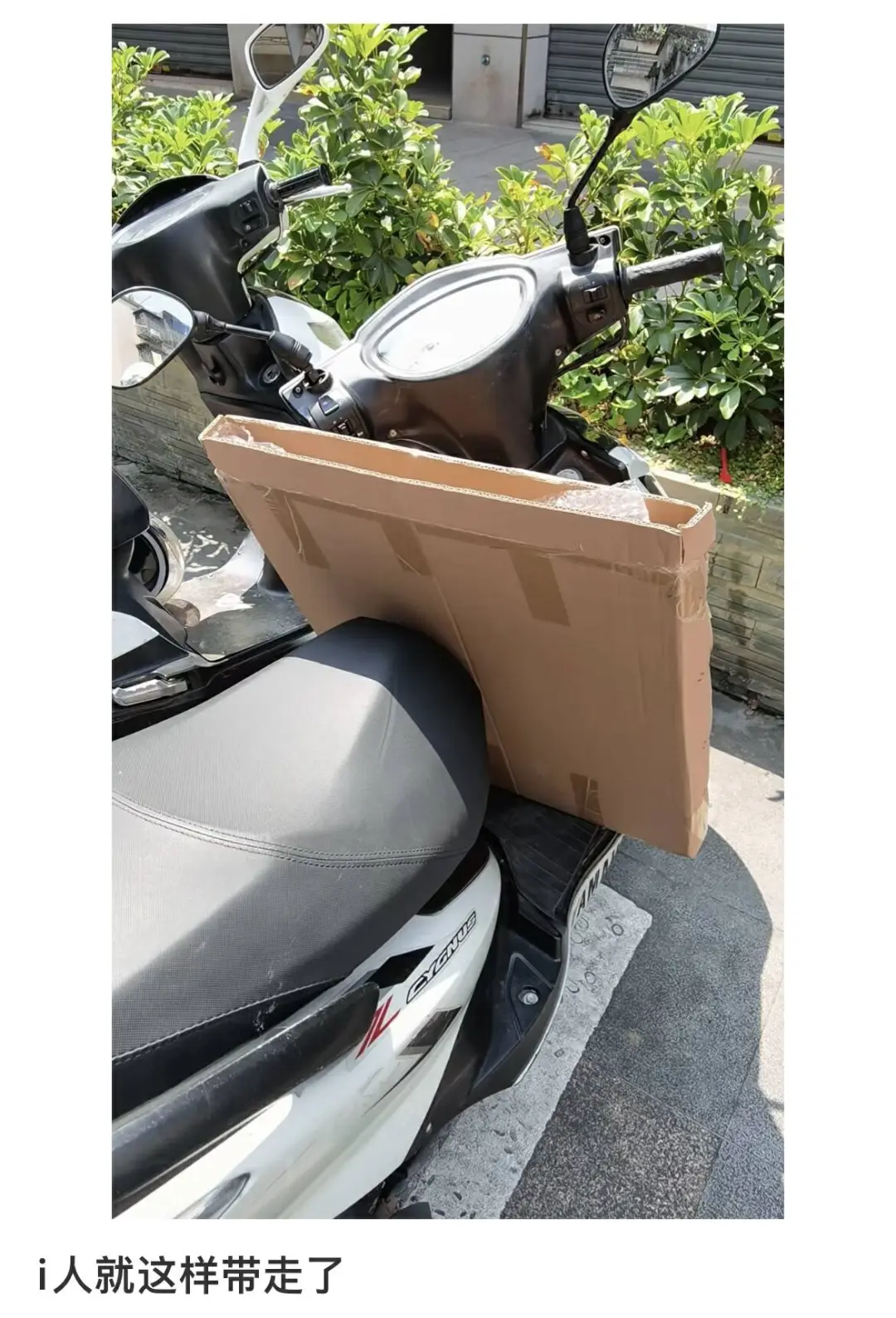 点品牌设计